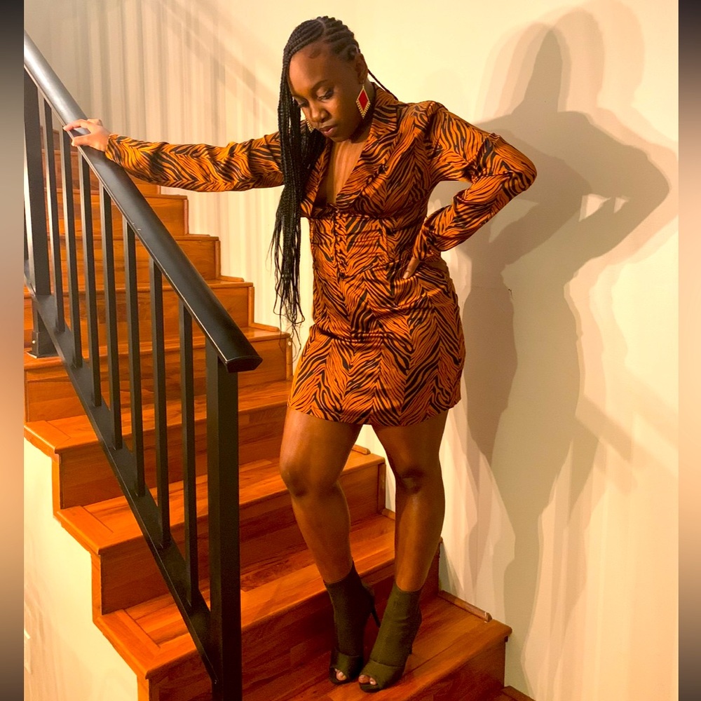 PLT Sexy Brown striped dress